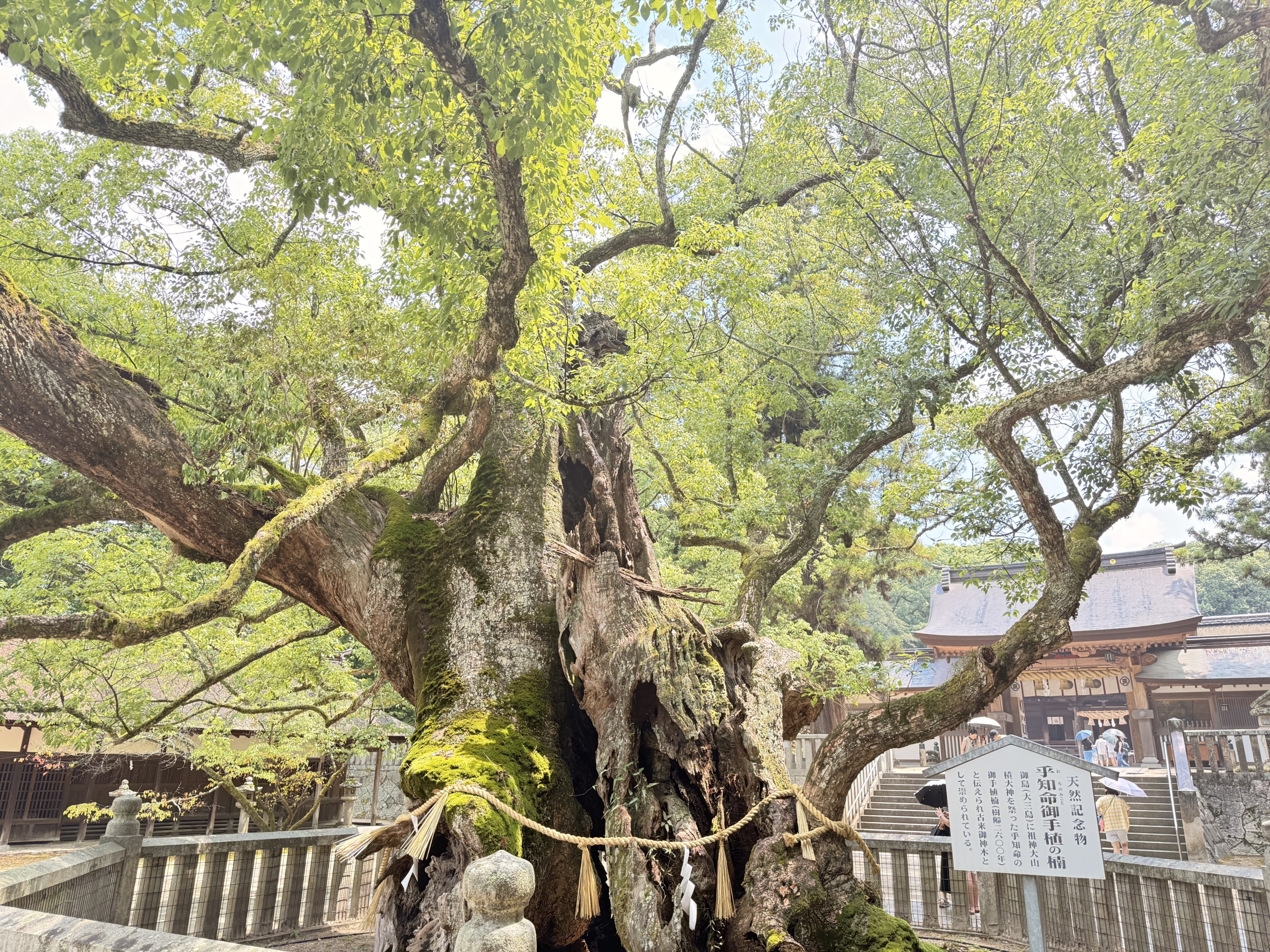IMG_6481 今治市(愛媛県)の現地取材写真:欧米豪が熱狂する「体験価値」と滞在型観光への転換(2)