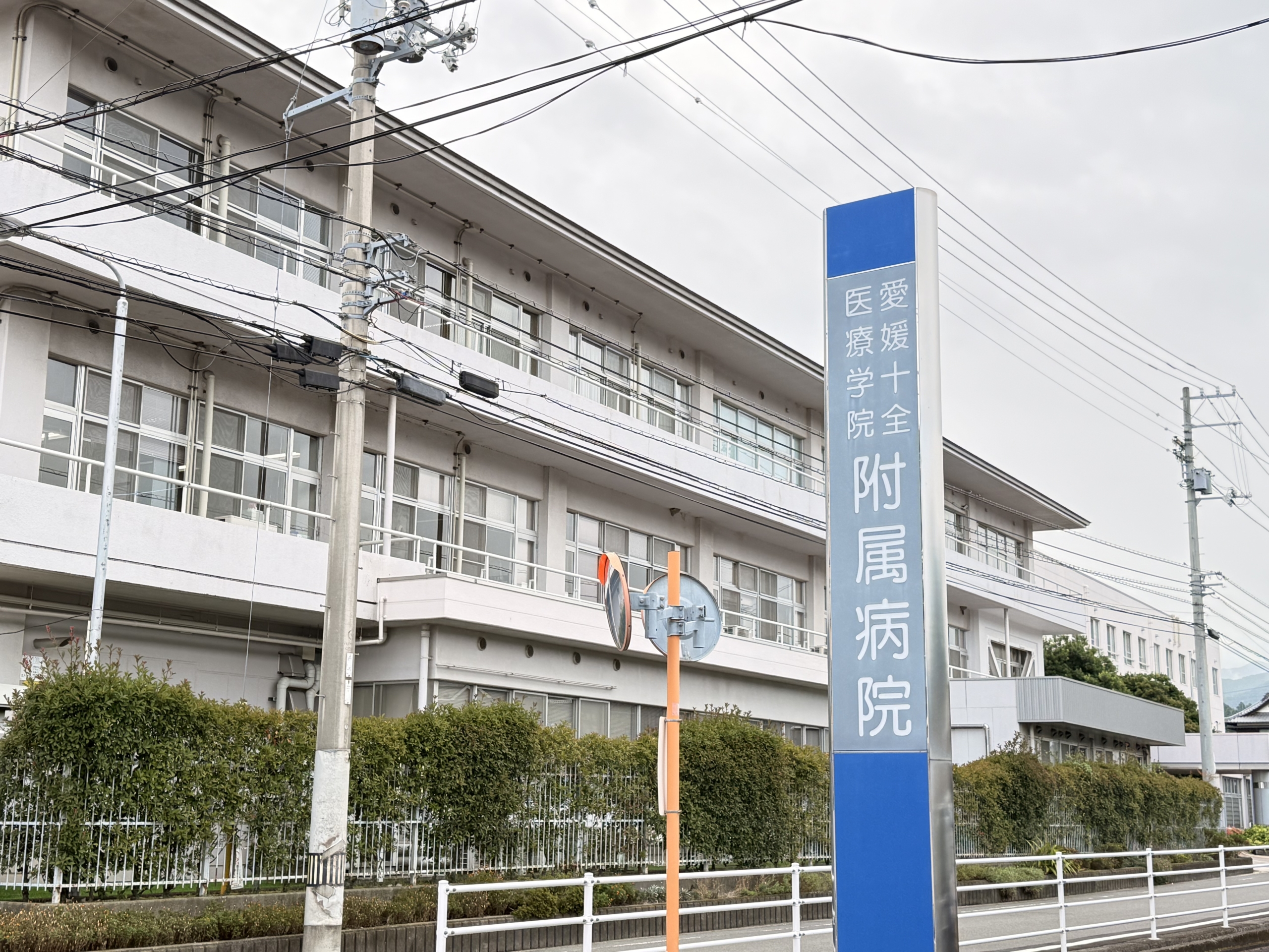 東温市（愛媛県）の現地取材写真：「観る」から「創る」へ――10年目の深化とこれからの可能性（3）
