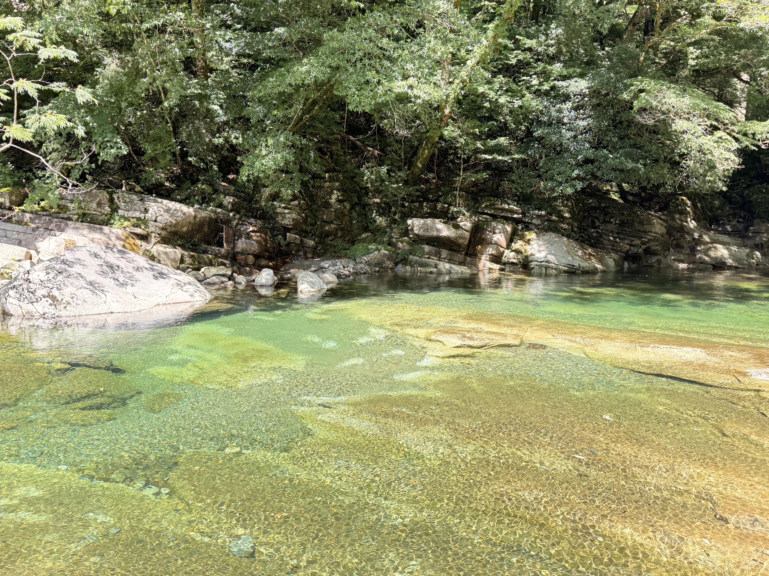 久万高原町（愛媛県）の現地取材写真：AI時代だからこそ輝く「生きる力」と教育の現場（2）