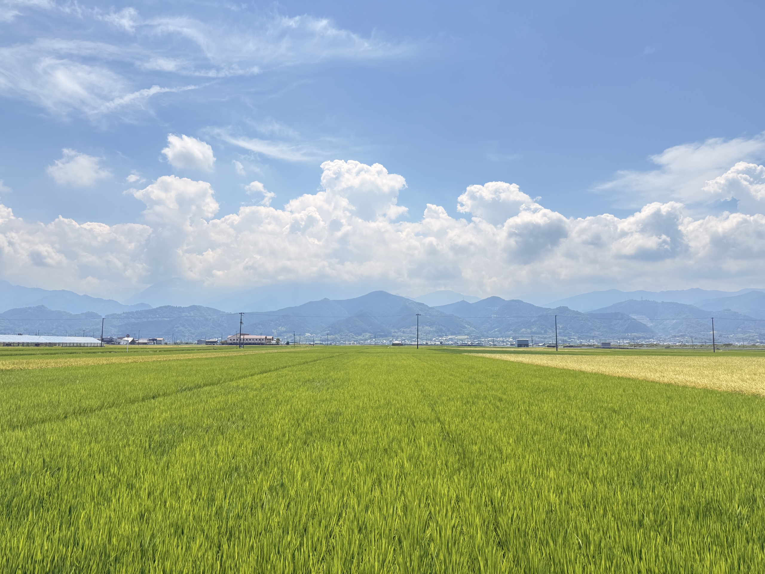 西条市（愛媛県）の現地取材写真：公民連携と広域連携が切り拓く地方の未来