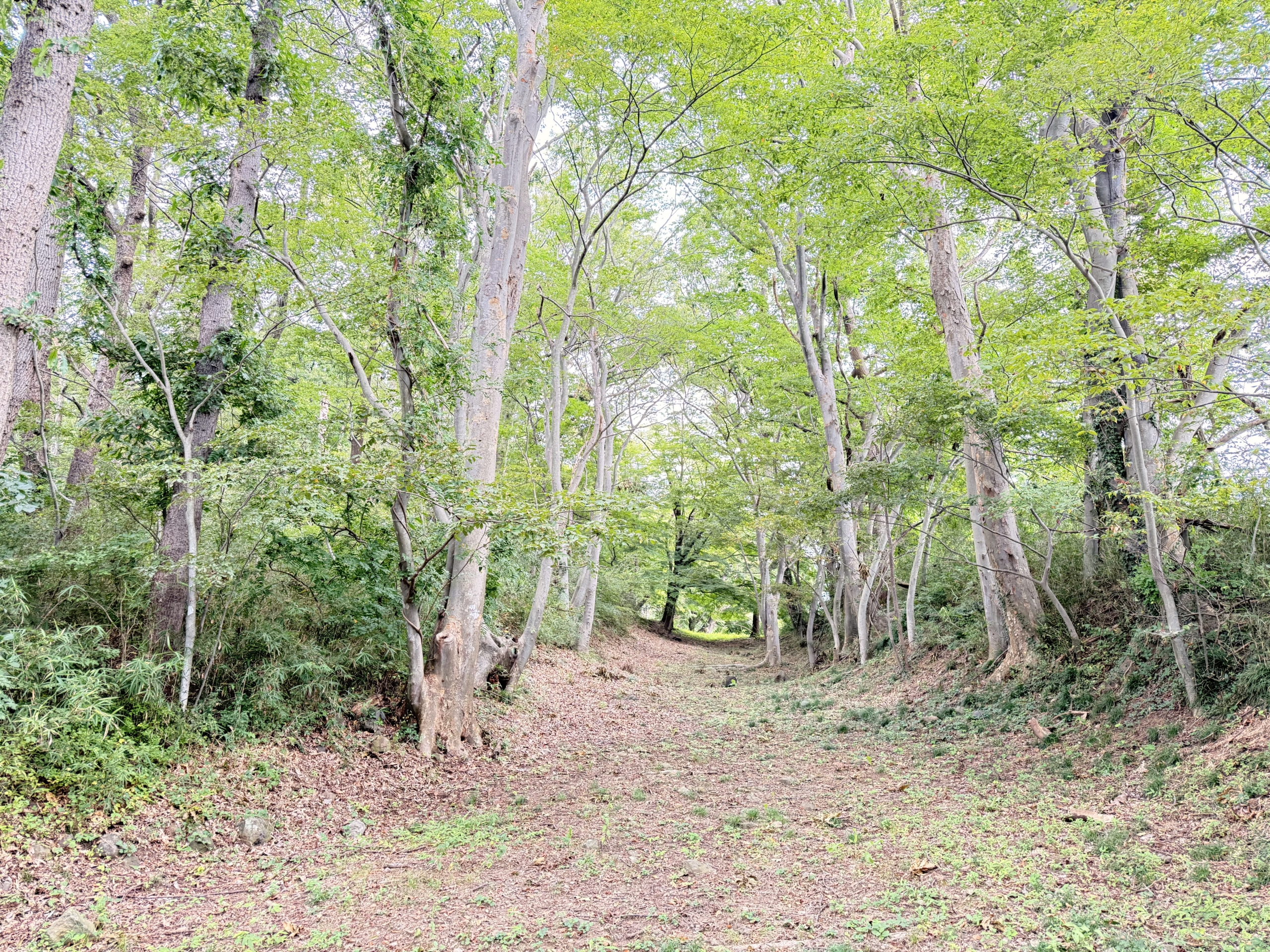 国見町（福島県）の現地取材写真：義経伝説と地域に受け継がれる歴史の誇り（2）