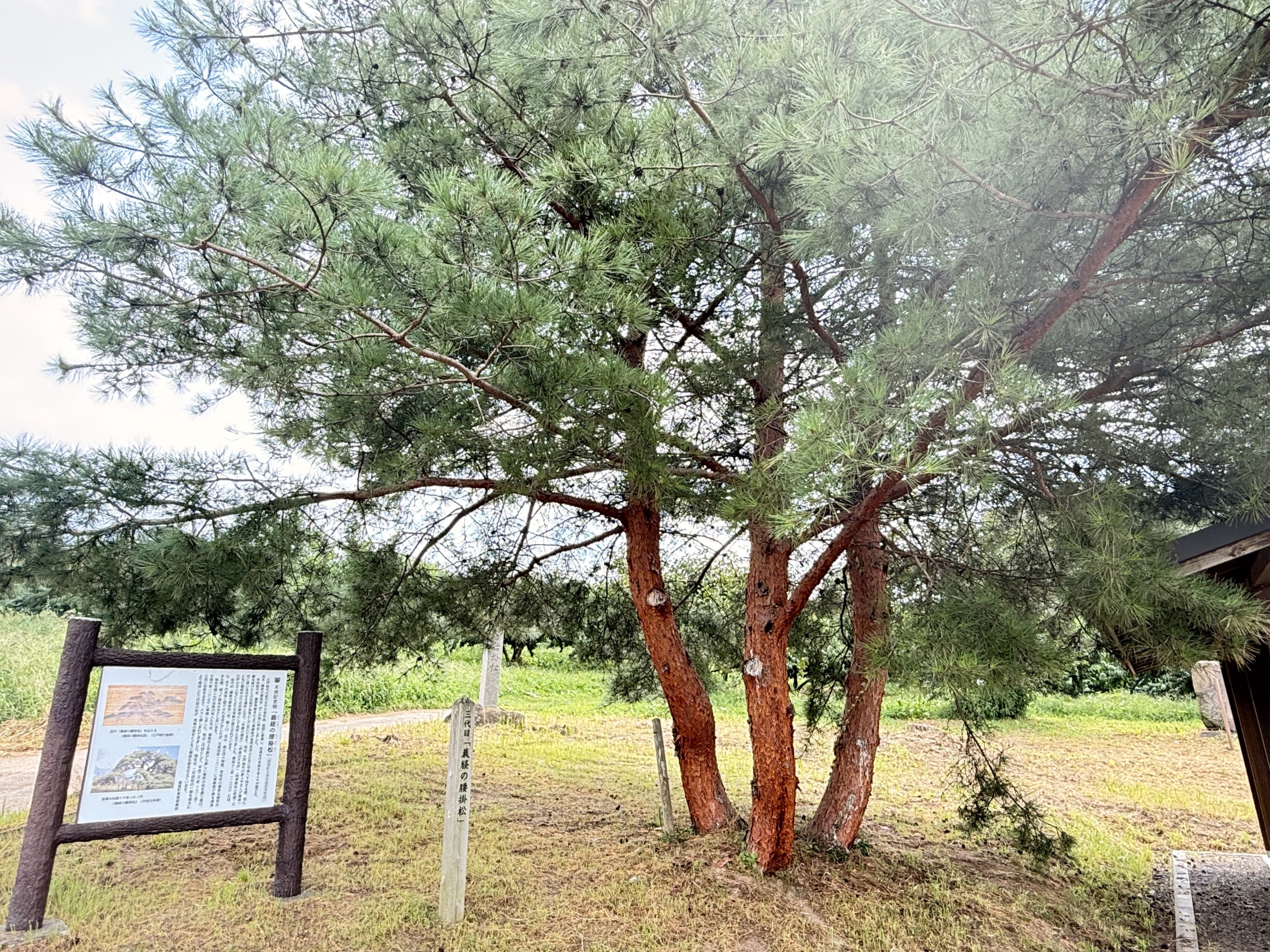 国見町（福島県）の現地取材写真：義経伝説と地域に受け継がれる歴史の誇り