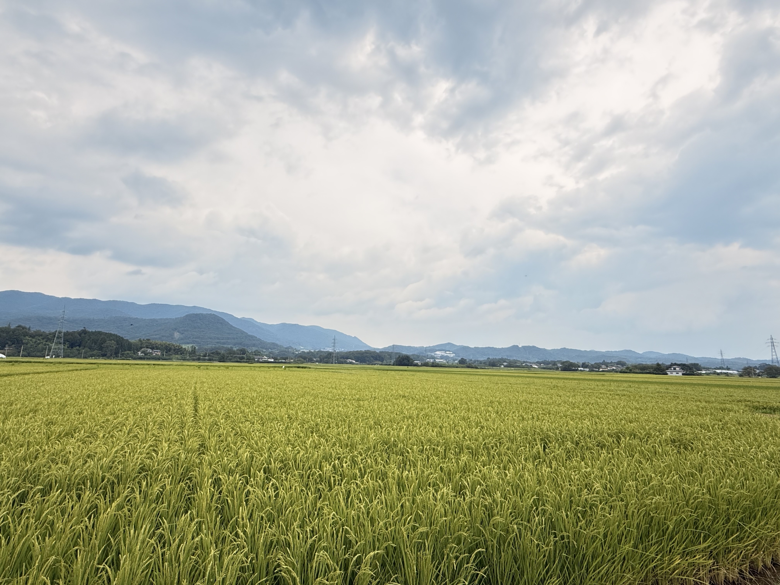 国見町（福島県）の現地取材写真：全国トップクラスを誇る「果物の町」と太陽の恵み（2）