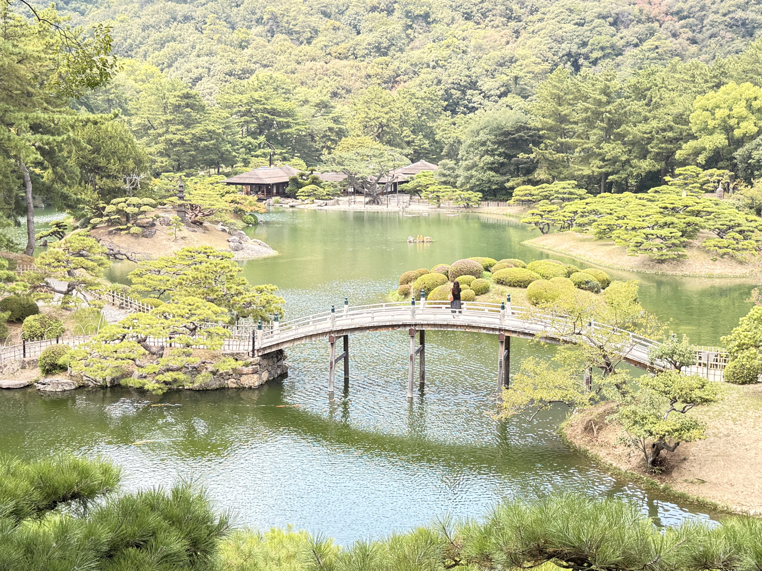 高松市（香川県）の現地取材写真：埋め立てから28年、結実するサンポート再開発。「あなぶきアリーナ香川」が拓く四国の玄関口の…（2）