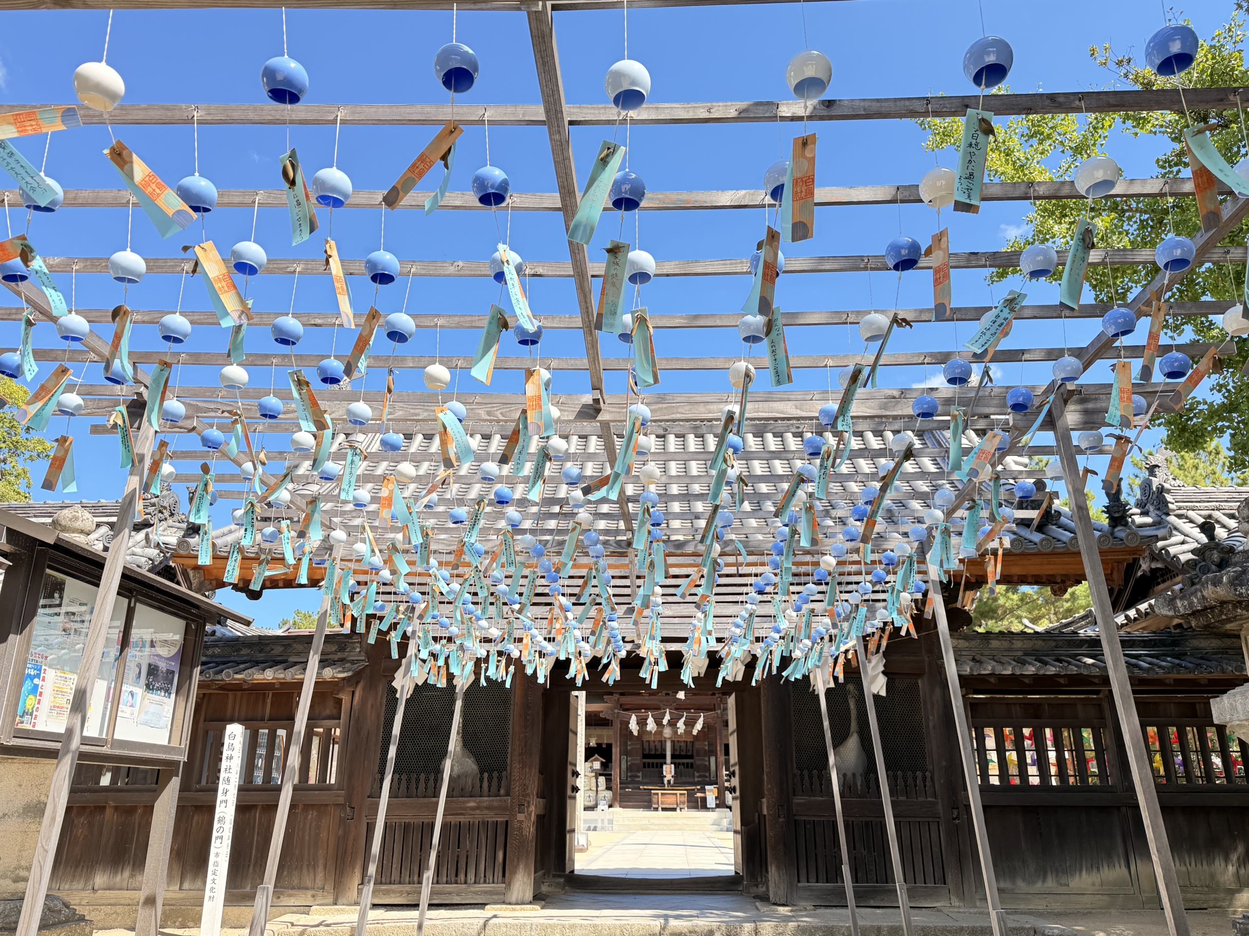 東かがわ市（香川県）の現地取材写真：人口減少を前提に「ワクワク」と「シビックプライド」を育む