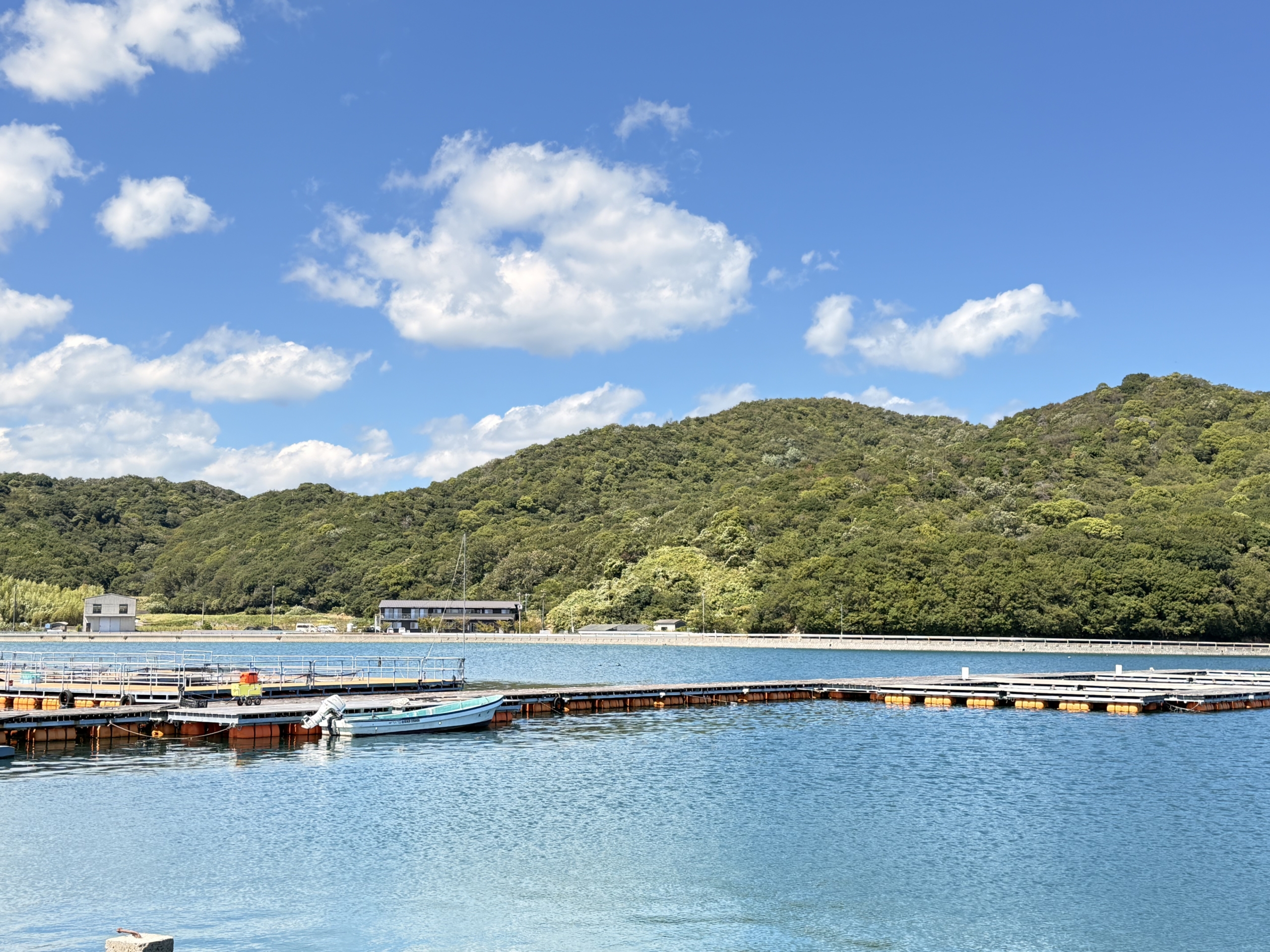東かがわ市（香川県）の現地取材写真：圧倒的シェア9割の「手袋のまち」と、世界初のハマチ養殖のDNA（2）