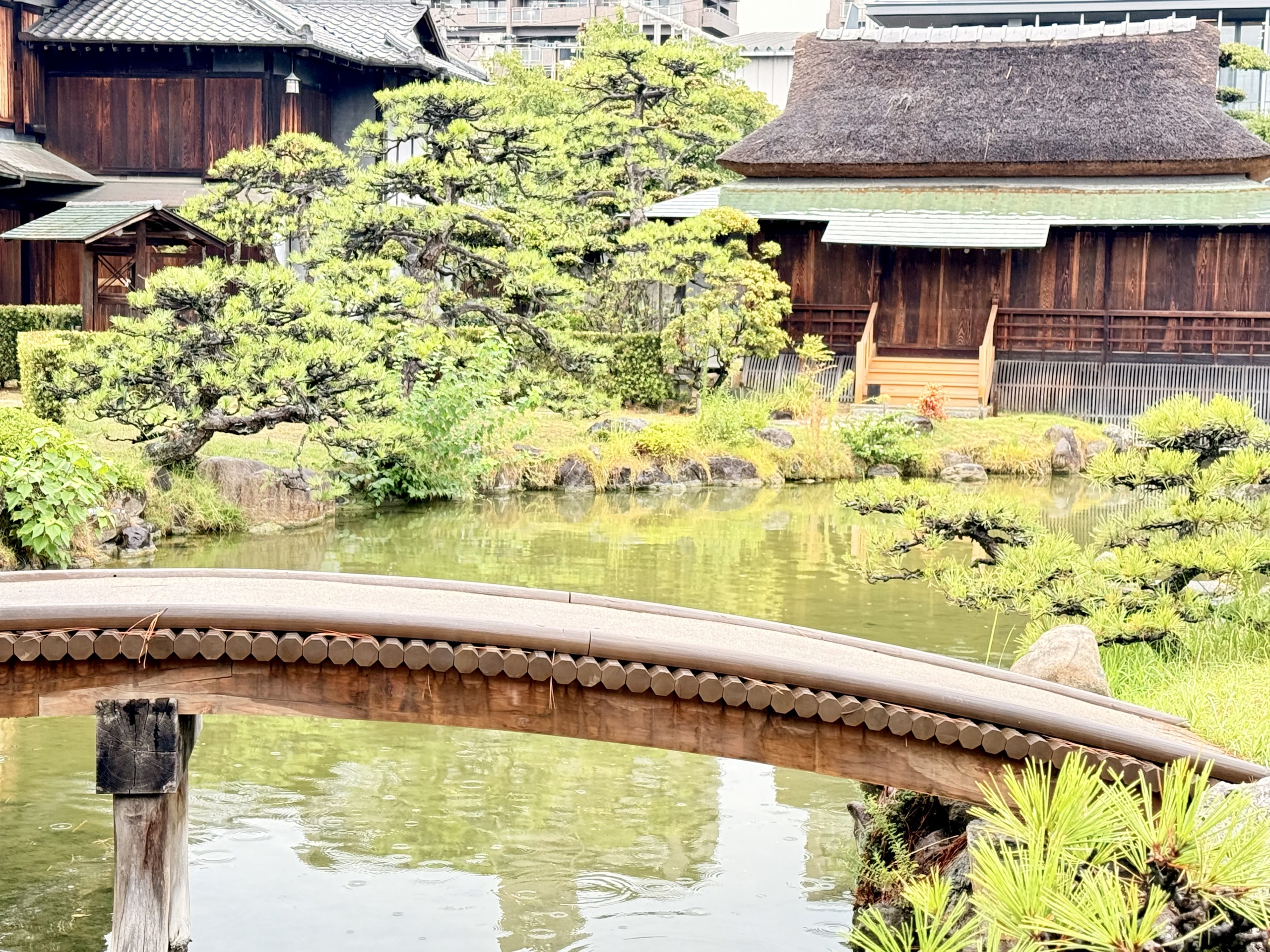 坂出市（香川県）の現地取材写真：コンセプトは「市民のリビング」。PFI（BTO方式）が実現するスピード感（2）