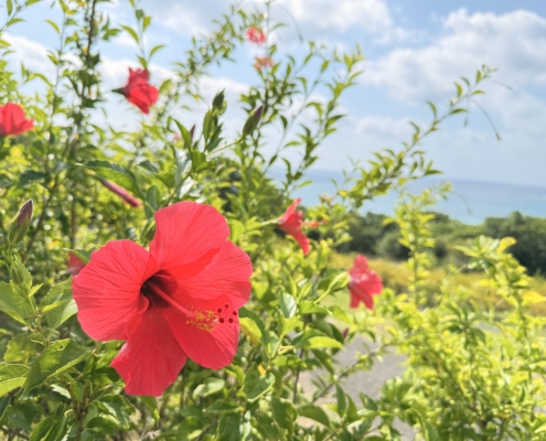 1718ニホン探索の関連画像：100市町村訪問達成記念！市町村取り組みレポート